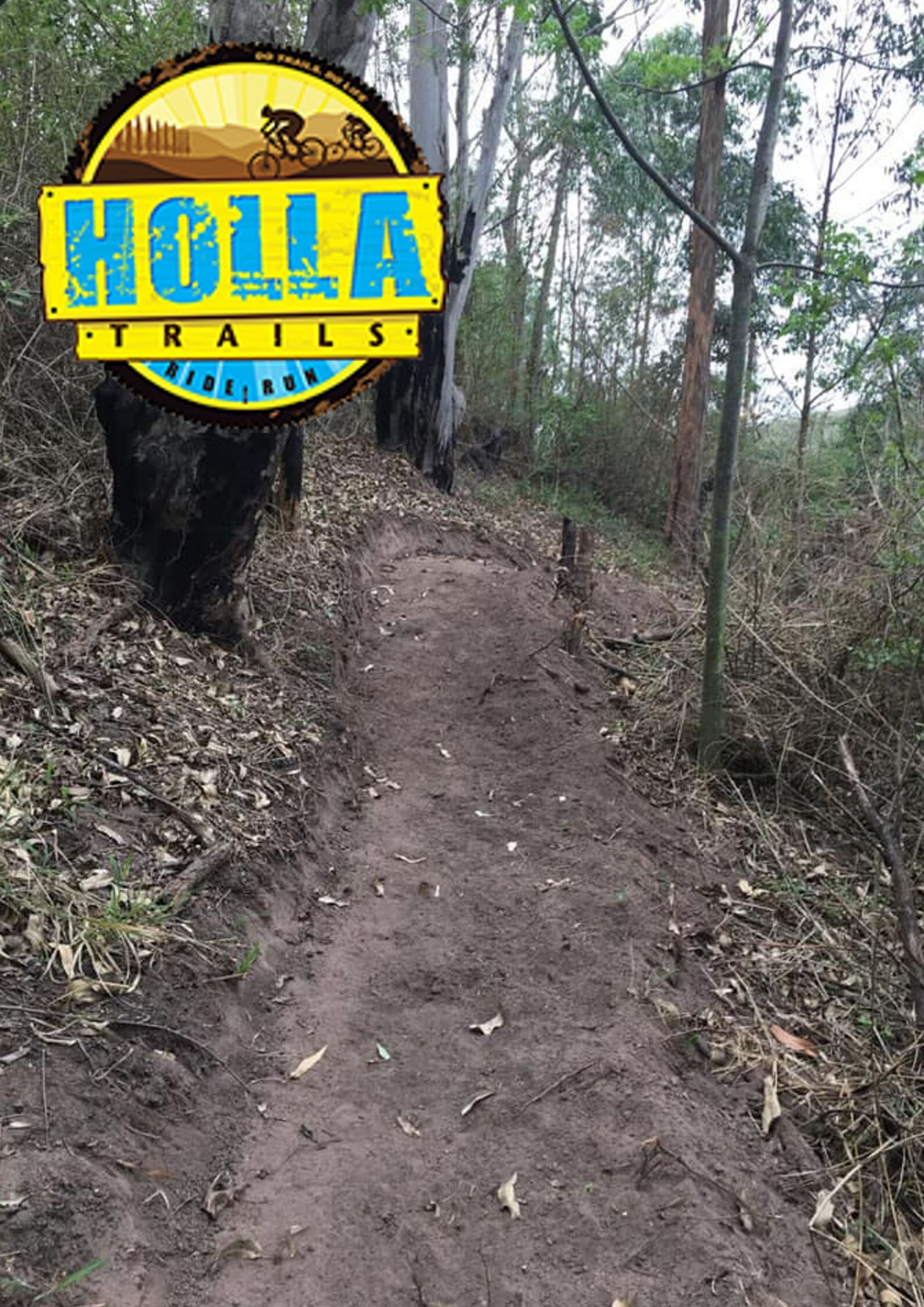 Holla Trails